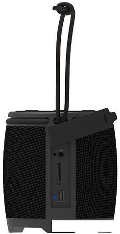 Беспроводная колонка Ritmix SP-310B