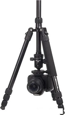 Трипод Raylab Pro 75 (с головой)
