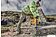 Пылесос DeWalt D25304DH-XJ