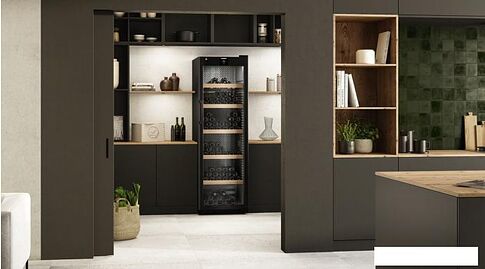 Винный шкаф Liebherr WPbli 5231