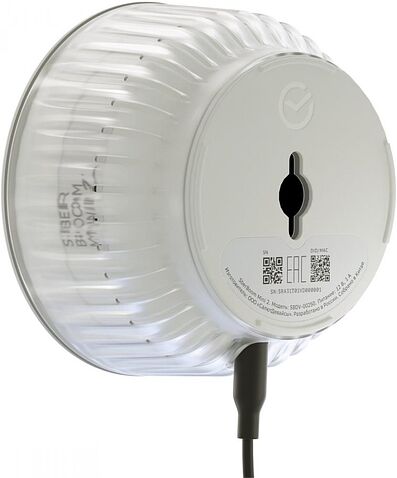 Умная колонка Sber SberBoom Mini 2 (неоновый серый)