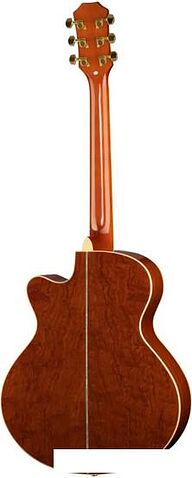 Акустическая гитара Ramis RA-C02C