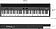 Цифровое пианино Roland FP-60X (белый)