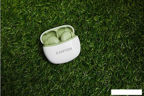 Наушники Canyon CNS-TWS5W