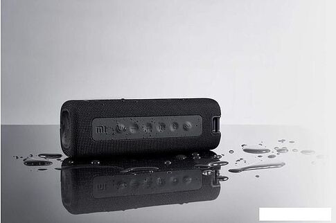 Беспроводная колонка Xiaomi Mi Portable 16W (черный)