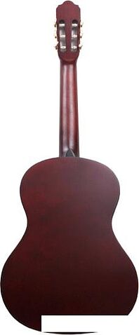 Акустическая гитара Aileen ACG160
