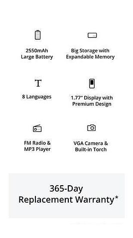 Кнопочный телефон Dizo Star 300 (черный)