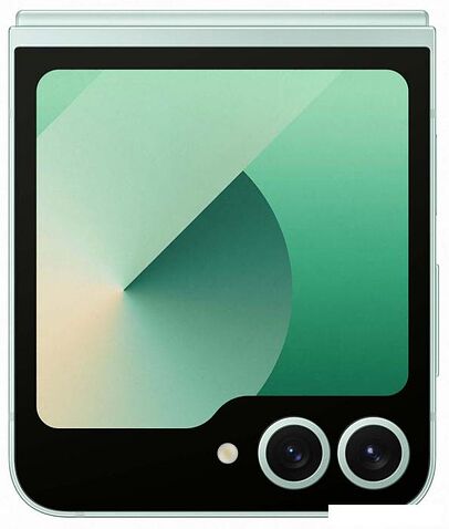 Смартфон Samsung Galaxy Z Flip6 SM-F741B 12GB/512GB (мятный)