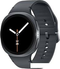 Умные часы Samsung Galaxy Watch8 44 мм LTE (графит)