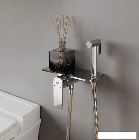 Гигиенический душ IDDIS AXESBSHi08