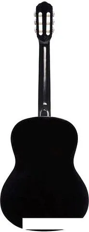 Акустическая гитара Terris TC-390A BK