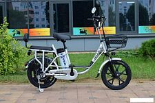 Электровелосипед Terax ROXY NS010