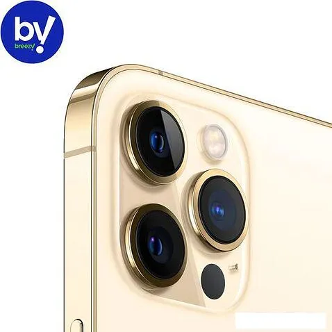 Смартфон Apple iPhone 12 Pro Max 256GB Воcстановленный by Breezy, грейд B (золотистый)