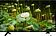 Телевизор Thomson T55USL7010