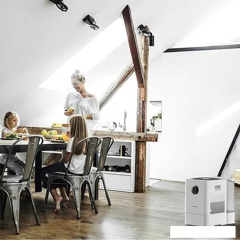 Мойка воздуха Boneco Air-O-Swiss W300