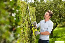 Кусторез Ryobi RHT184520
