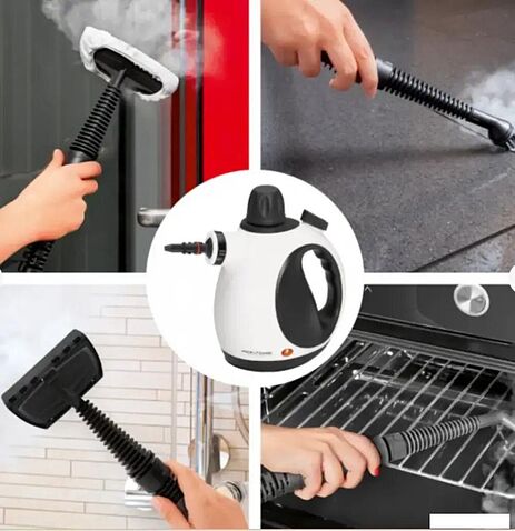 Пароочиститель RAF R.11219