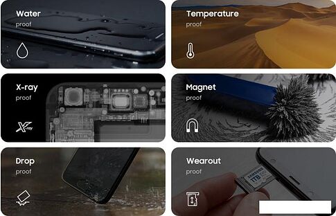 Карта памяти Samsung EVO Plus 2024 microSDXC 128GB (с адаптером)