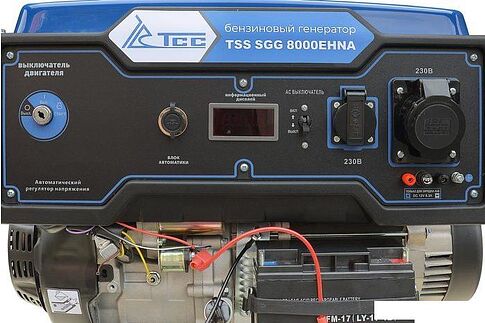 Бензиновый генератор ТСС SGG 8000EHNA