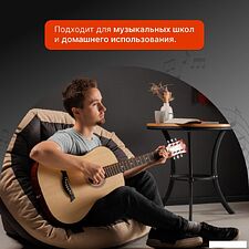 Акустическая гитара ROKSO FT-221-3TS