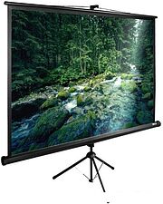 Проекционный экран CACTUS TriExpert 165x220 CS-PSTE-220X165-BK Проекционный экран CACTUS TriExpert 165x220 CS-PSTE-220X165-BK
