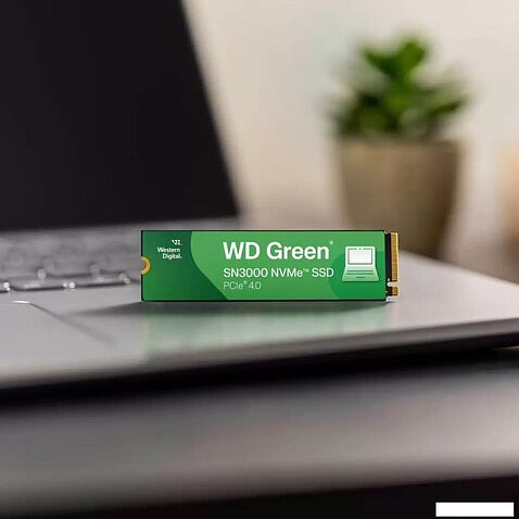 SSD WD Green SN3000 500GB WDS500G4G0E