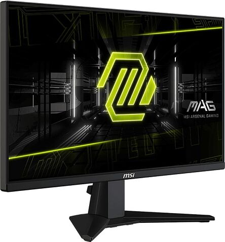 Игровой монитор MSI MAG 255XF