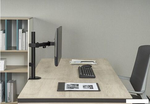 Кронштейн для монитора ErgoSmart Simple I