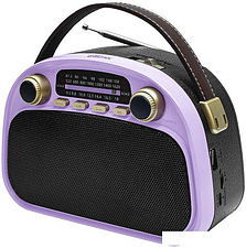 Радиоприемник Ritmix RPR-040 (лавандовый)