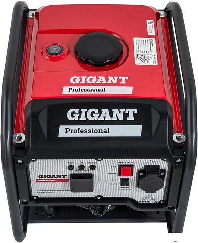 Бензиновый генератор Gigant Professional GPIGL-3000O