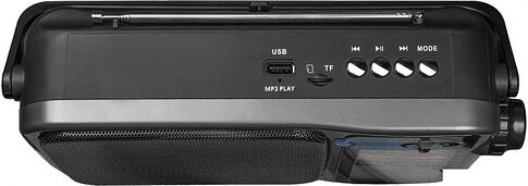 Радиоприемник Ritmix RPR-320