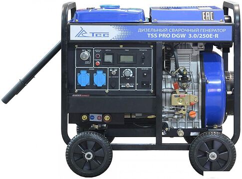 Дизельный генератор ТСС PRO DGW 3.0/250E-R