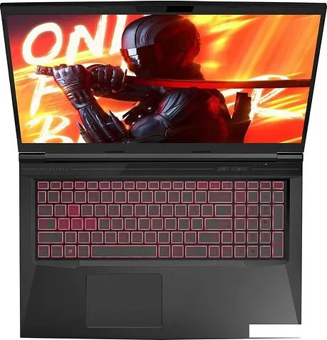 Игровой ноутбук Maibenben X725 X725FSFNLBRE0