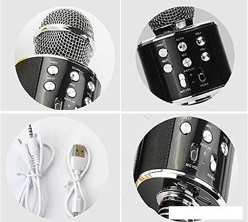 Микрофон Wster WS-858 (черный)