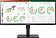 Монитор LG UltraWide 34BN770-B