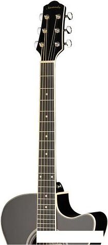 Акустическая гитара Naranda DG220CBK