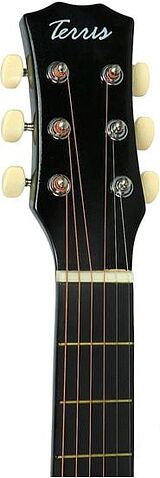 Акустическая гитара Terris TF-3802A BK