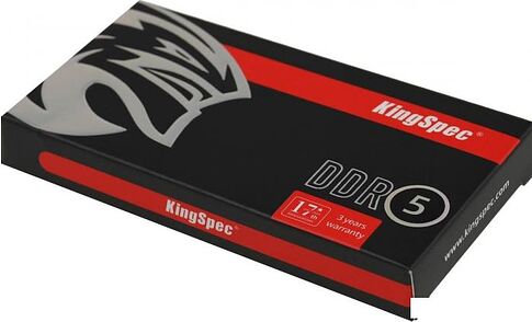 Оперативная память KingSpec 8ГБ DDR5 SODIMM 4800 МГц KS4800D5N11008G