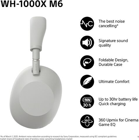 Наушники Sony WH-1000XM6 (серый)