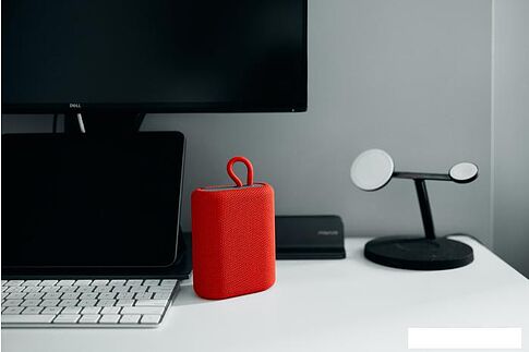 Беспроводная колонка Canyon CNE-CBTSP4DG