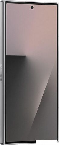 Телефон Samsung Galaxy Z Fold7 SM-F966B/DS 12GB/256GB (серебристый)