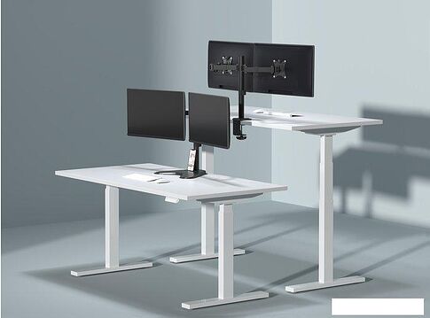 Кронштейн ErgoSmart Twin II