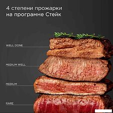Электрогриль Redmond (Редмонд) SteakMaster GM303 (серый)