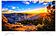 Телевизор ASANO 32LH1011T