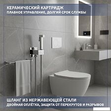 Гигиенический душ Lauter Rainix 21LT7711CH