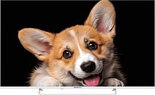 Телевизор Topdevice 50" SMART TV YаOS 03 (белый)