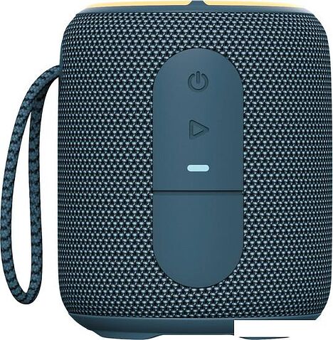 Беспроводная колонка Aiwa PAS-H100 (темно-синий)