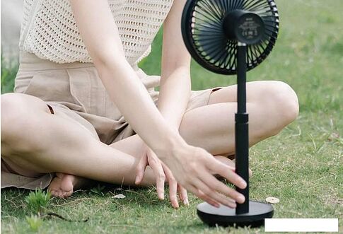 Вентилятор Solove Smart Fan F5i (черный)