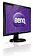Монитор BenQ GL2450