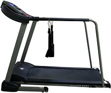 Электрическая беговая дорожка DFC Walker EVO T-S1